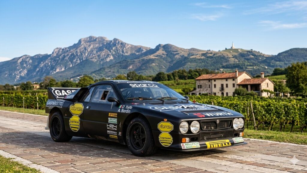 rally-decorazione-auto